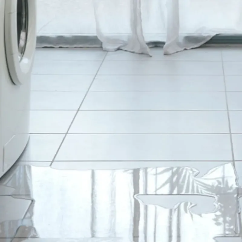 Appliance Leak Cleanup in Bremen, OH