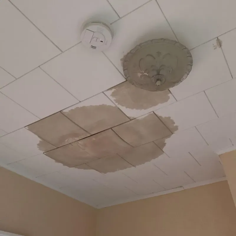 Ceiling Water Damage Repair in Bremen, OH