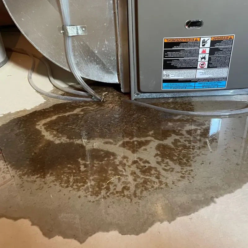 Pipe Burst and Leak Restoration in Bremen, OH