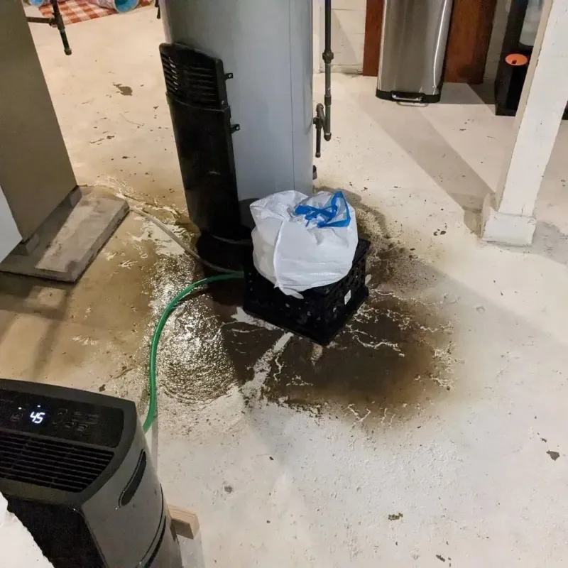 Sewage Backup Cleanup Service in Bremen, OH
